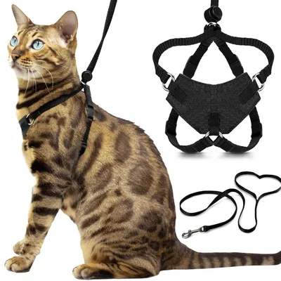 Produktbild von Houdini™ Großes Katzengeschirr und Leine, ausbruchsicher, von OutdoorBengal zum