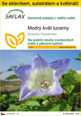 Obrázek produktu pro SAFLAX Kultivační sada - Modrý květ lucerny - Nicandra Physaloides - 100 Semena - S mini skleníkem, pěstebním substrátem a 2 květináči