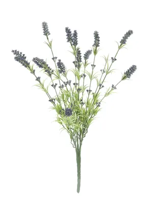 Produktbild von EUROPALMS Lavendelbusch, künstlich, 61cm (82600231)