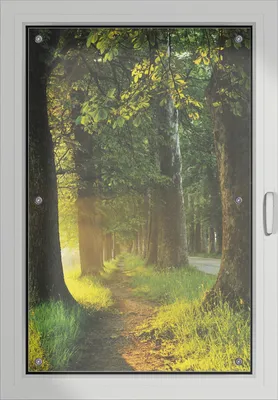 Produktbild von Wallario Lichtschutzbild, Dekorativer Sichtschutz Sonnenschutz 60 x 93 cm mit Motiv: Allee bei Sonnenuntergang - Verdunklung ohne Bohren