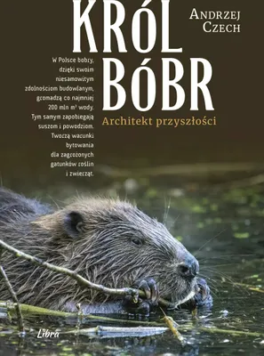 Obrázek produktu pro Król Bóbr