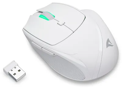 Produktbild von Sharkoon OfficePal M25W, rechts, Optisch, RF Wireless + USB Type-C, 4000 DPI, Weiß