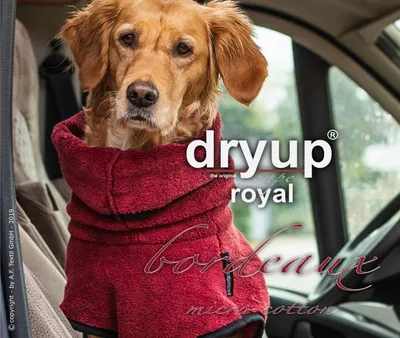 Produktbild von Dryup Cape Royal bordeaux L(65cm)