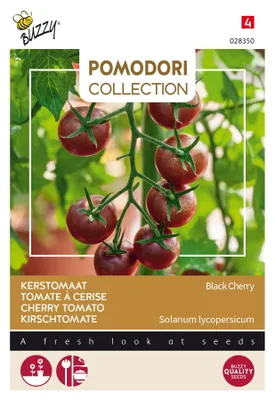 Obrázok produktu pre Semená paradajok Buzzy Pomodori Black Cherry - približne 10 semien | Buzzy_028350