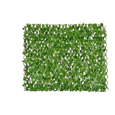 Image de Séparateur vert plastique (200 x 4 x 100 cm)