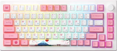 Produktbild von Akko MOD007B PC Tokyo Kabellos Magnetische Tastatur, QWERTY US, RGB, Pink Magnetic Switch