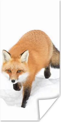 Produktbild von MuchoWow® Poster Fuchs - Schnee - Winter 60x120 cm - Wandschmuck