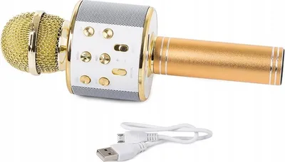 Zdjęcie produktu dla Verk 01377, mikrofon Bluetooth do karaoke, pojemność baterii 1800mAh, kolor złoty