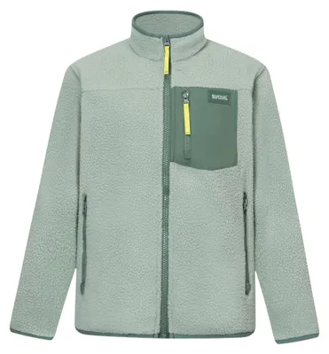 Productafbeelding van Regatta - Fleecejas "Frankie" voor kinderen, model RG13408 (maat 170-176) (Gletsjergroen/Donkergroen)