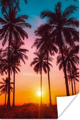 Produktbild von MuchoWow® Poster Palme - Sonnenuntergang - Horizont - Strand - Orange - Rosa 120x180 cm - Kunstposter