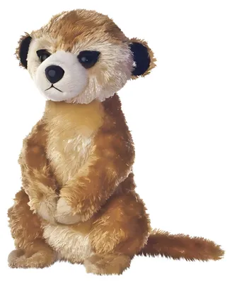 Image de AURORA 26151 Aurora MF MEERKAT