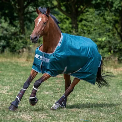 Produktbild von Bucas Atlantic Turnout 50 g Füllung Outdoordecke green Regendecke 145 cm ( L )