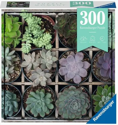 Zdjęcie produktu dla Zielony Ravensburger 12967