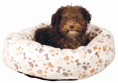 Produktbild von TRIXIE Lingo, Donut pet bed, Innenraum, Hund, Beige, Braun, Weiß, Oval, Muster