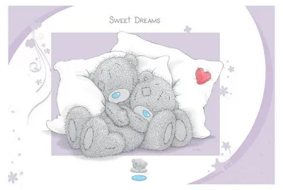 Image de SWEET DREAMS - OURS - pelluche - 61x91,5cm - Affiche Poster