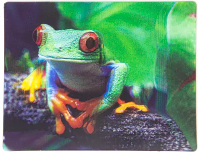 Produktbild von Magnet mit 3D Frosch-Motiv, 9 x 7 cm