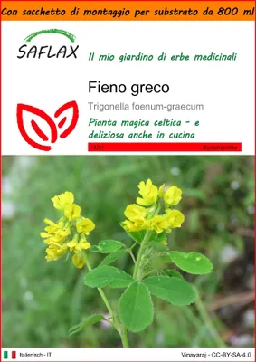 Immagine prodotto di SAFLAX Garden in the bag - Fieno greco - 100 semi - Trigonella