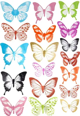 Image de 18 papillons décoratifs en 3D - Multicolores