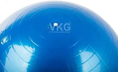 Produktbild von Yoga- und Pilates-Gymnastikball 65 cm mit Pumpe (blau)
