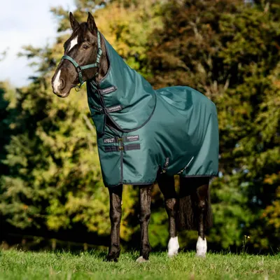 Produktbild von Horseware Amigo Ripstop 900D Plus Turnout 100g Decke Dynasty Green/Navy & Silver, Horseware Deckengröße:155 cm / 6´9