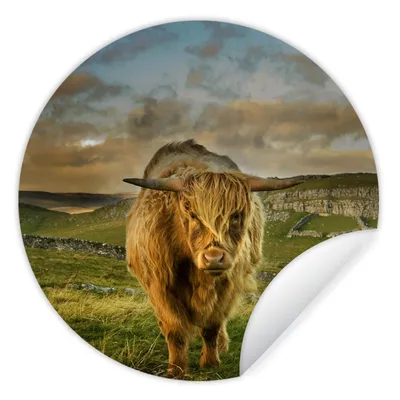 Produktbild von MuchoWow® Runde Wandtattoo - Wandsticker Tapete Aufkleber Schottischer Highlander - Gras - Berg Ø 50 cm Selbstklebend und Repositionierbar - Wandaufkleber - Kreis - Wand Kreis - Wand Bild - Foto Tapete - Selbstklebende - Wohnzimmerdekoration - Wand Dekoration - Kinderzimmer