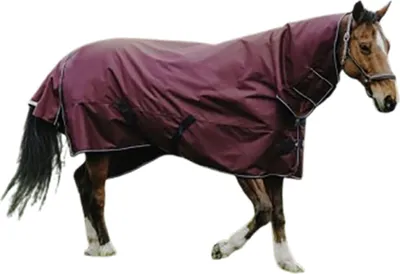 Image de Equithème Tyrex 1200D Couverture d'extérieur Combo 0g