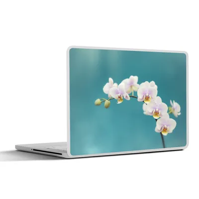 Produktbild von MuchoWow® Laptop Aufkleber Sticker Cover Orchidee - Blumen - Pflanze - Weiß - Lila 32.5x23.5 cm - Sticker für Laptop - Selbstklebend