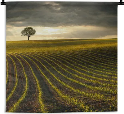 Produktbild von MuchoWow® Wandteppich Wandbehang Wiese - Baum - Dunkelheit 60x60 cm Tapisserie Dekoration Wandtuch - Dekorationen - Wand Decke