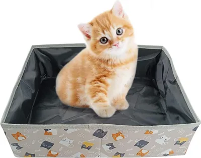Produktbild von Faltbare Katzenbox XL, Wasserdicht, 47x36x13 cm, Für Katzen bis 15 kg, Für Zuhause