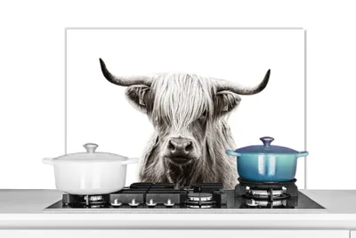 Obrázek produktu pro KitchenYeah® Kitchen splashback - Kuchyňský splashback - Ochrana stěny sporáku a dřezu - Skotský náhorní skot - Kráva - Černá - Bílá 80x55 - Alu-Dibond (alternativa ke skleněnému splashbacku) - Heatb