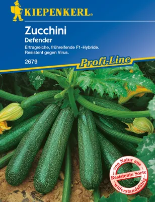 Produktbild von Kiepenkerl Zucchini Defender F1
