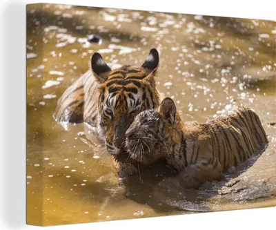 Produktbild von OneMillionCanvasses® - Leinwandbilder - 140x90 cm, Tiger - Wasser - Jungtier, Wandbilder Kunstdruck Wanddekoration