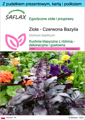 Zdjęcie produktu dla SAFLAX - Zestaw prezentowy - Zioła - Czerwona Bazylia - 200 Nasiona - Z pudełkiem upominkowym, etykietą wysyłkową, kartą podarunkową i podłożem uprawowym - Ocimum basilicum