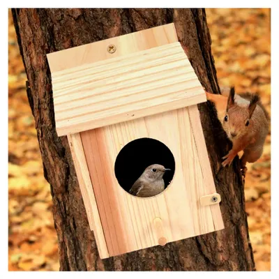 Produktbild von Vogelhaus für Wellensittiche – Hängendes Vogelnest für Garten und Terrasse – Wetterfestes Futterhaus mit stabilem Seil – Natürliche Gartendekoration