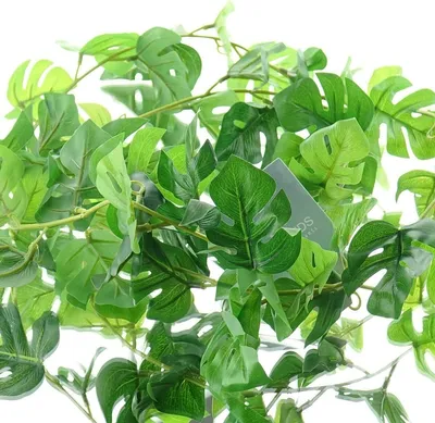 Produktbild von Kaemingk Fensterblatt - Monstera Grün Mini-Blatt Girlande 180 cm - Kunstpflanzen