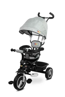 Immagine prodotto di Toyz BUZZ Triciclo e passeggino 2in1 - 102 x 101 x 49 cm - Grigio