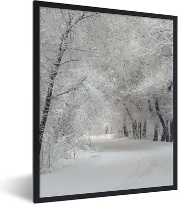Produktbild von MuchoWow® Gerahmtes Poster Bäume - Schnee - Winter 60x80 cm - Poster mit Schwarzem Bilderrahmen Wandposter Rahmen Foto Bilder - Premium - Wanddeko Wohnzimmer