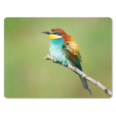 Produktbild von MuchoWow® Mauspad Mousepad Vogel - Tiere - Bienenfresser 23x19 cm - Mousepads - Maus Mat - Pad - Mausunterlage - Schreibtischunterlage - Mauspad