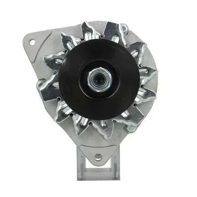 Produktbild von BV PSH 595.018.045.100 Lichtmaschine Generator LiMa 45A 12V