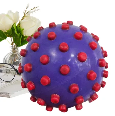 Productafbeelding van Sensorische Ballen voor Kinderen, Tactiele Speelgoed