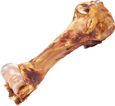 Produktbild von 2 Stück - Schecker Dino Knochen - Bullen Oberschenkelknochen - naturbelassen - langes Kauvergnügen