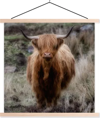 Produktbild von MuchoWow® Textilposter Schottisches Hochlandrind - Moos - Gras 60x60 cm mit holzfarbenen Rahmen - Wanddekoration