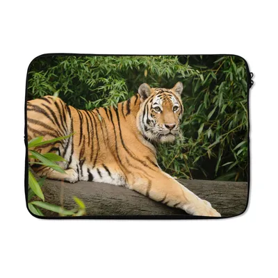 Produktbild von MuchoWow® Laptop Hülle 14 ZollTiger - Baum - Blätter Laptoptasche - Laptoptasche - Stoßsicher - Schutzhaube