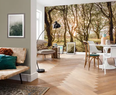 Produktbild von Vlies Fototapete - Bold Birch - Größe 400 x 250 cm