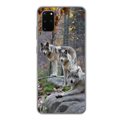 Produktbild von MuchoWow® Handyhülle Schutzhülle Hülle für Samsung Galaxy S20 Plus Wölfe - Fels - Wald Silikon Softcase Handy Hülle - Hartschale