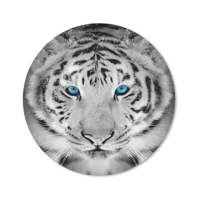 Produktbild von MuchoWow® Mauspad Mousepad Tiere - Tiger - Augen - Blau - Schwarz und weiß 20x20 cm - Mousepads - Maus Mat - Pad - Mausunterlage - Schreibtischmatte