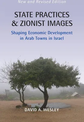 Produktbild von State Practices and Zionist Images