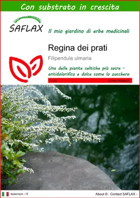 Immagine prodotto di SAFLAX  - Regina dei prati - 500 semi - Con substrato - Filipendula