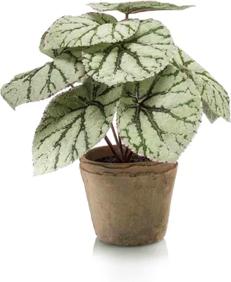 Produktbild von artplants.de Kunstpflanze Blattbegonie Meira im Terracottatopf, grün-grau, 25cm - Deko Buntnessel