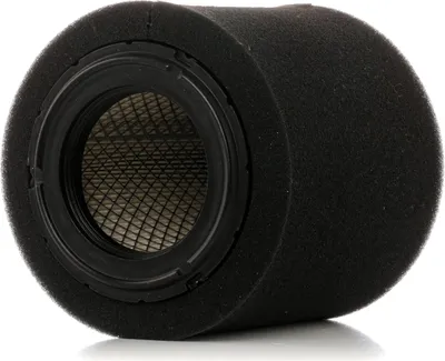 Produktbild von Luftfilter STARK SKAF-0060575 für JEEP COMPASS (MK49) Filtereinsatz Umluftfilter
